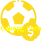 Aposte em esportes do mundo todo no Cakepg.Com!